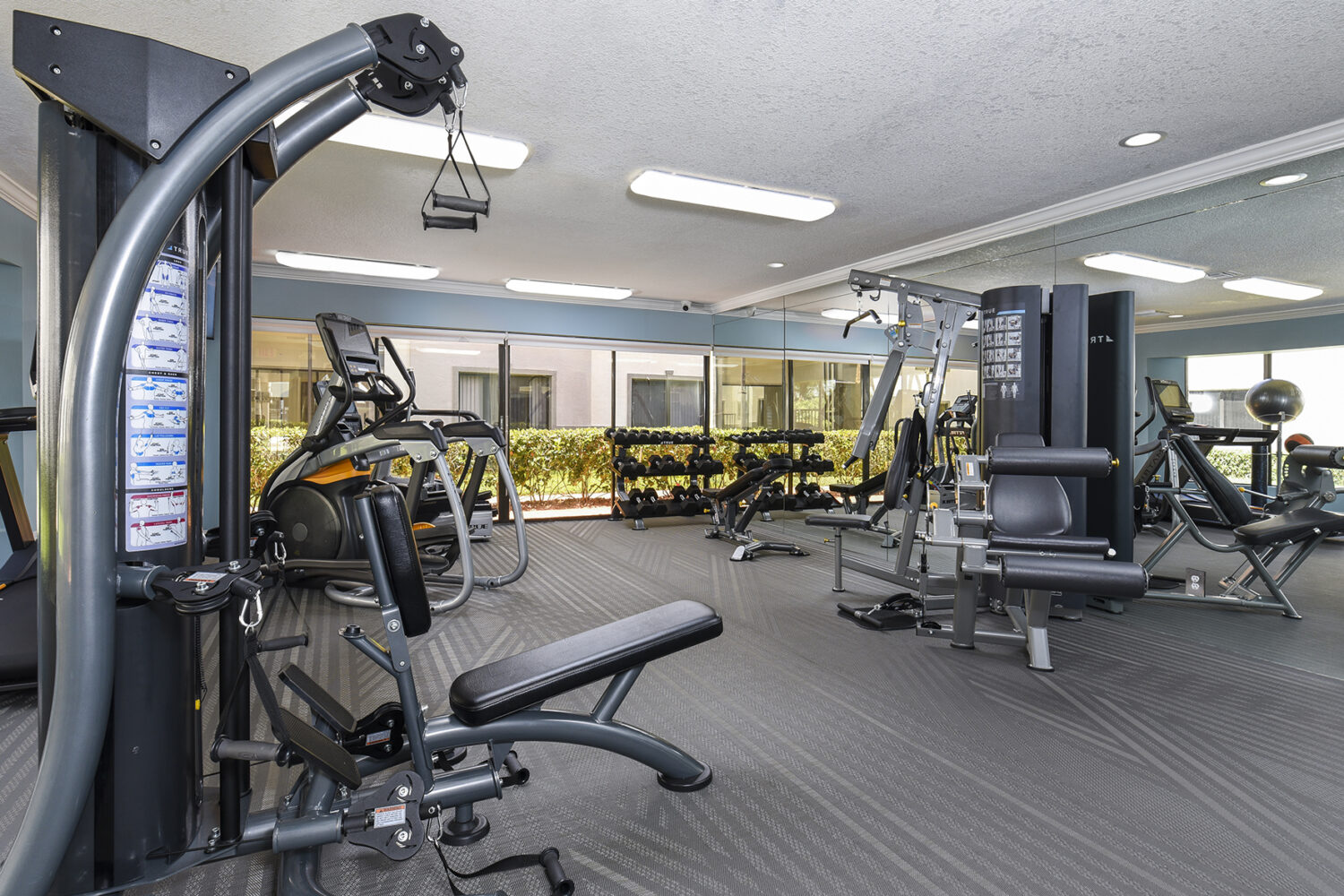 crystal palms fitness center 
