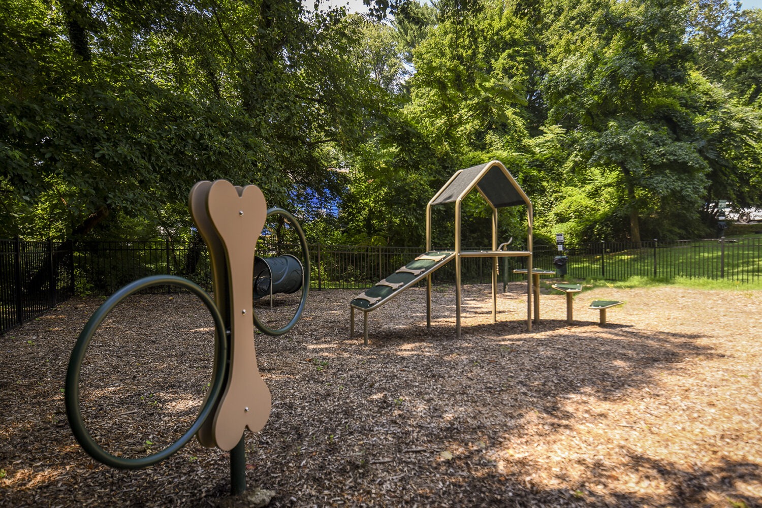 Dog park for your furry friend