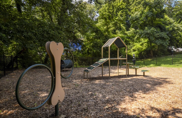 Dog park for your furry friend