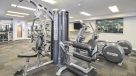 weight machine in the fitness center 