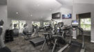 cardio equipment in the fitness center 