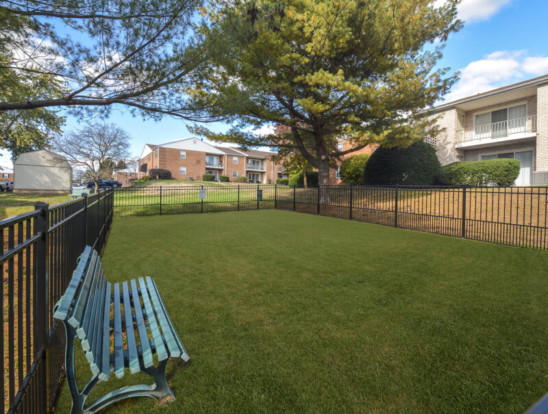 Dog Park