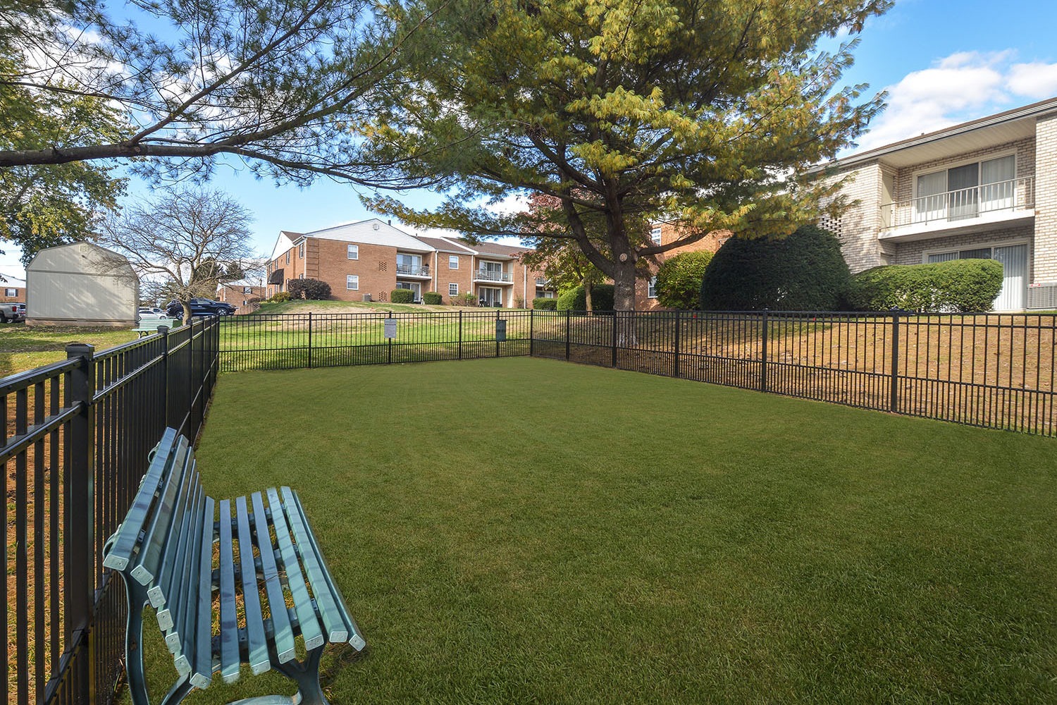 Fully fenced dog park with bench