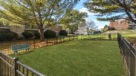 fenced in dog park with trees surrounding for shade