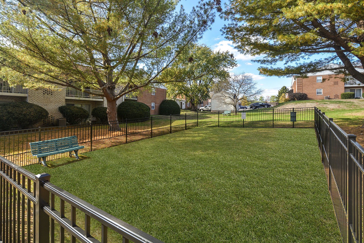 fenced in dog park with trees surrounding for shade