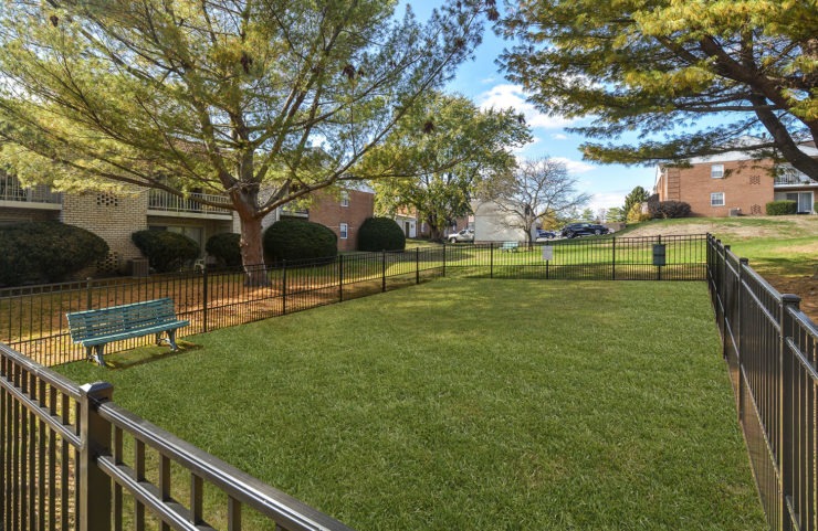 fenced in dog park with trees surrounding for shade