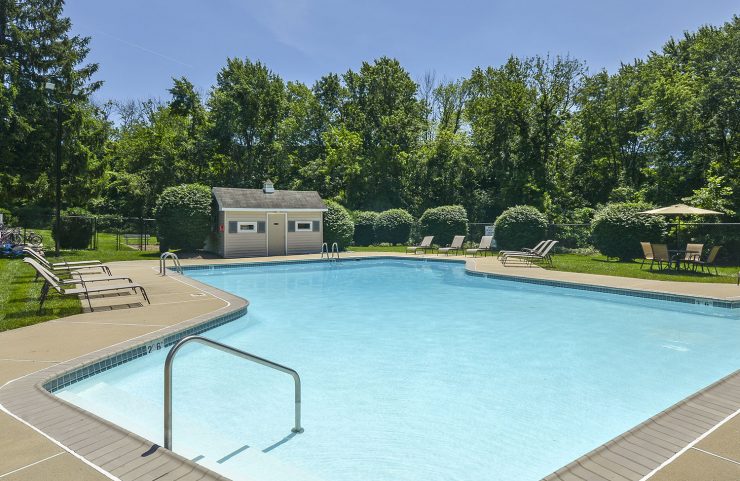 Outdoor Pool with mature trees surrounding 