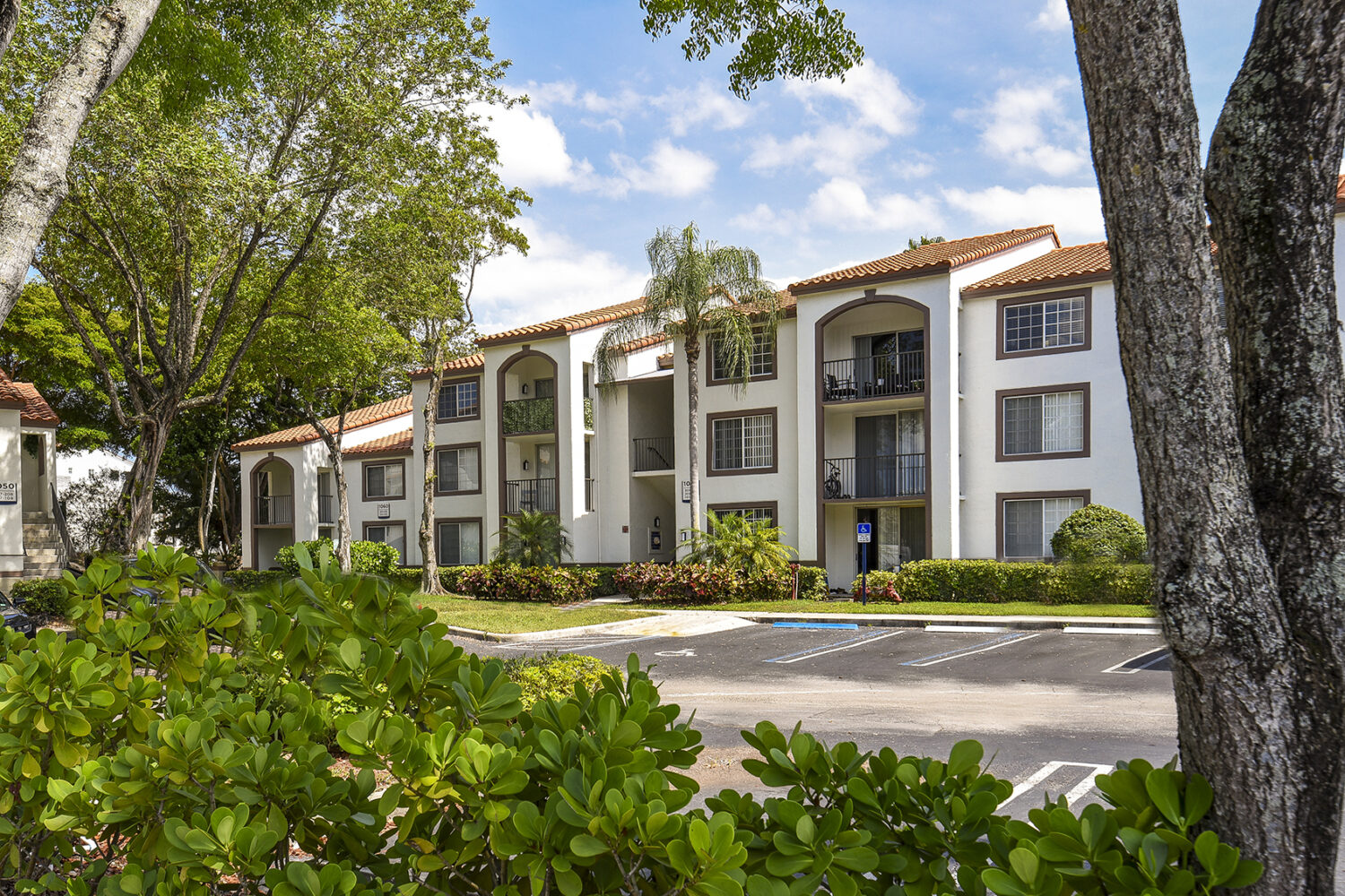 exterior photo with palm trees 