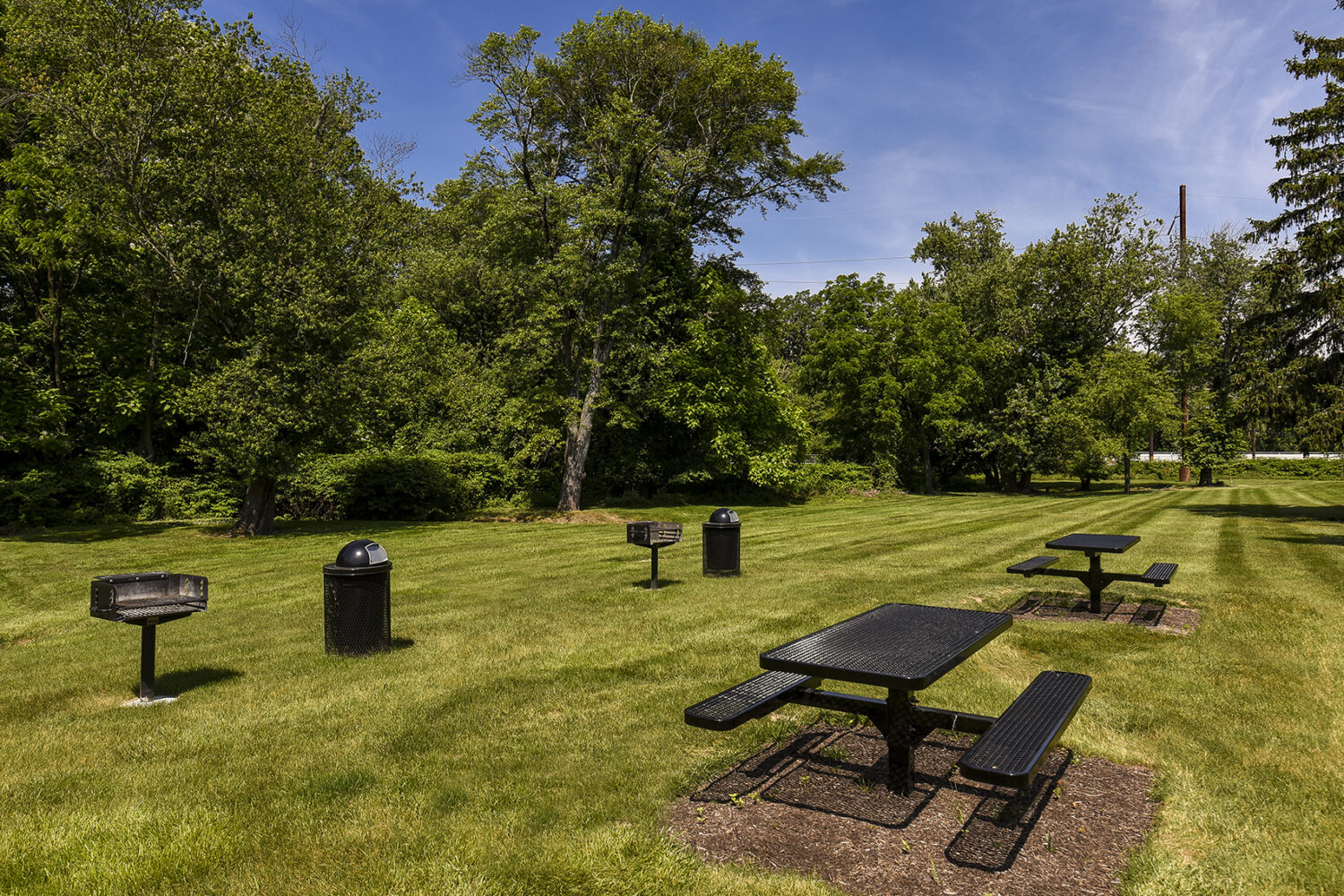Picnic Area with picnic tables and grills