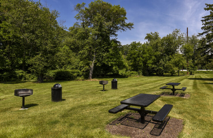 Picnic Area with picnic tables and grills
