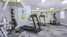 treadmills and ellipticals in the fitness center 