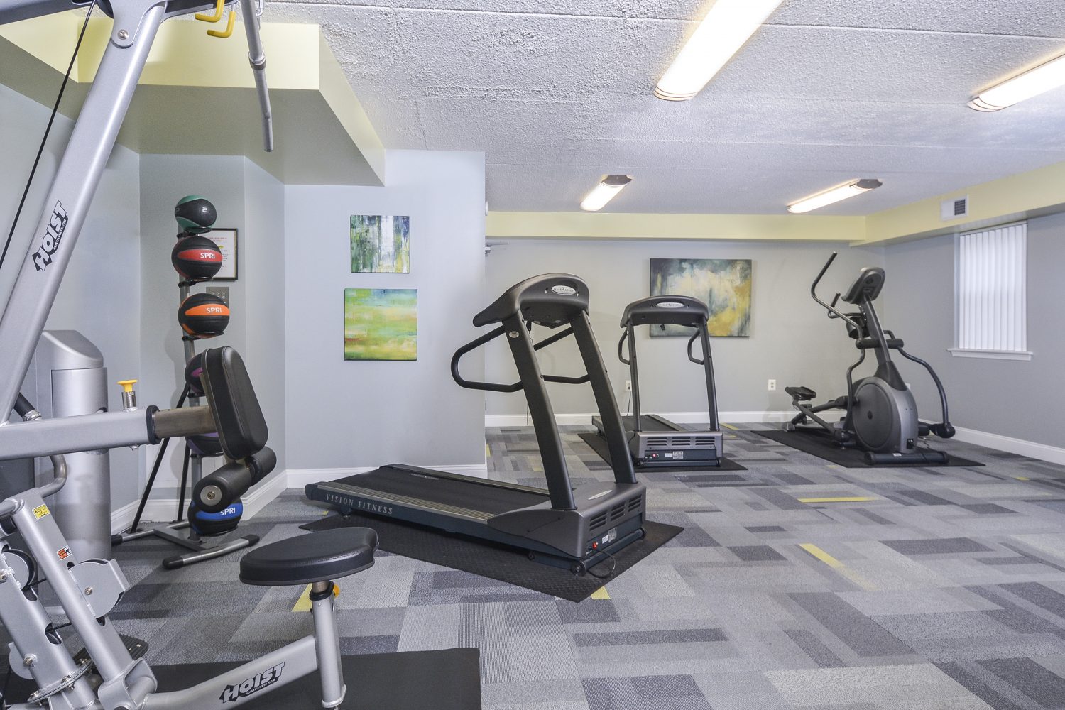 treadmills and ellipticals in the fitness center 