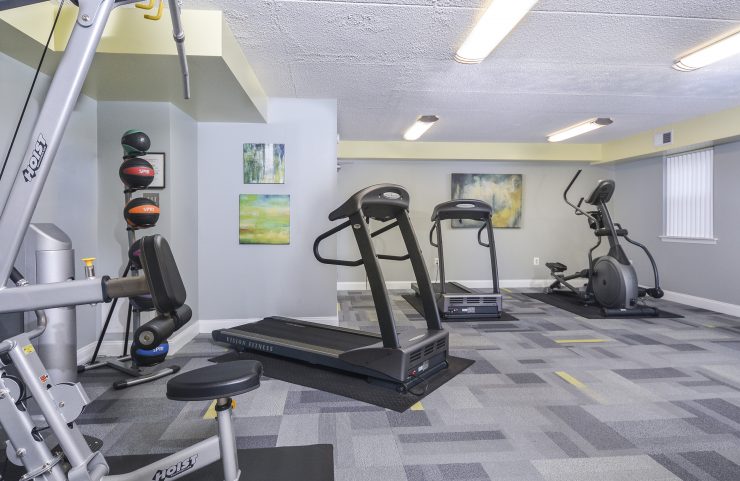 treadmills and ellipticals in the fitness center 