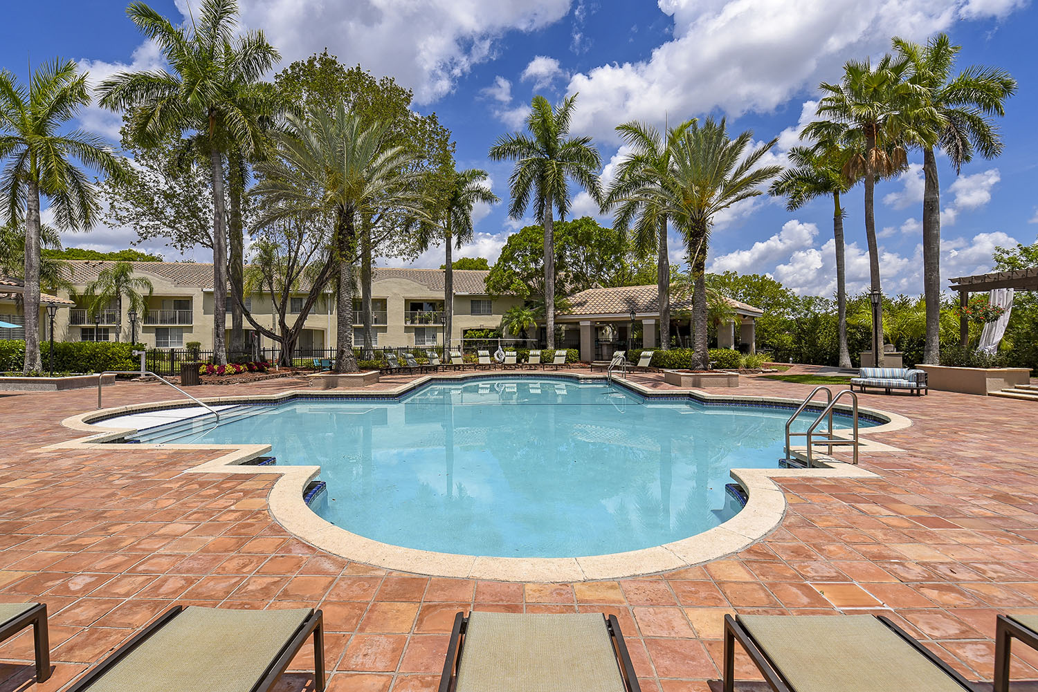 outdoor pool with palm trees surrounding and lounge chairs 