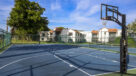 Basketball court 