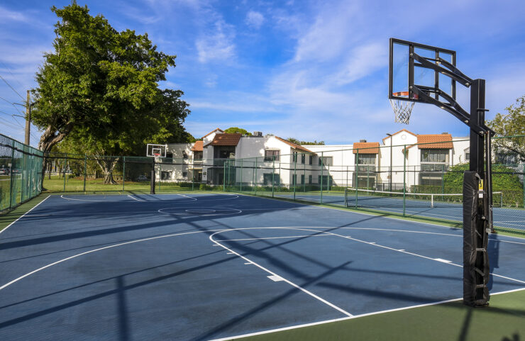 Basketball court 