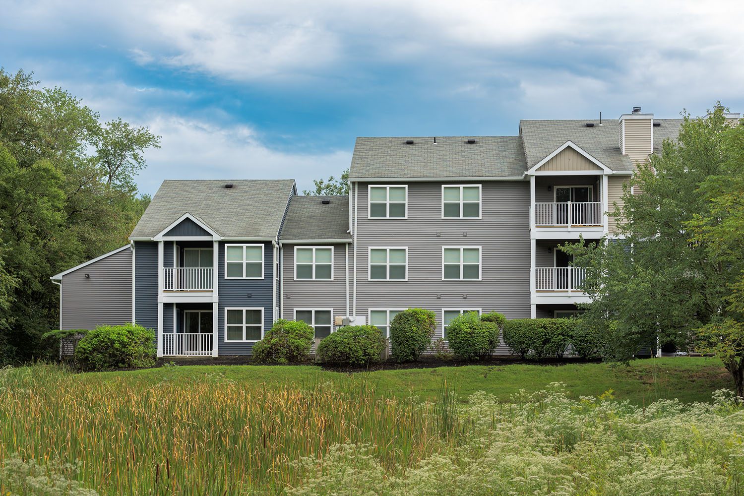 exterior surrounded by trees and green grass 