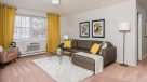 living room with carpet and large window