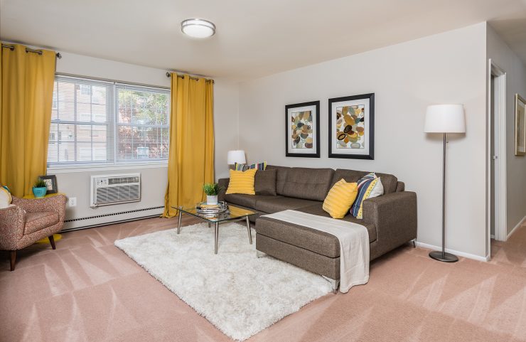 living room with carpet and large window