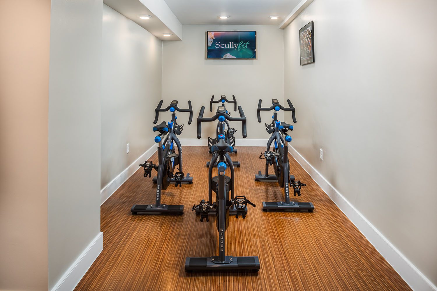 on demand fitness bikes 