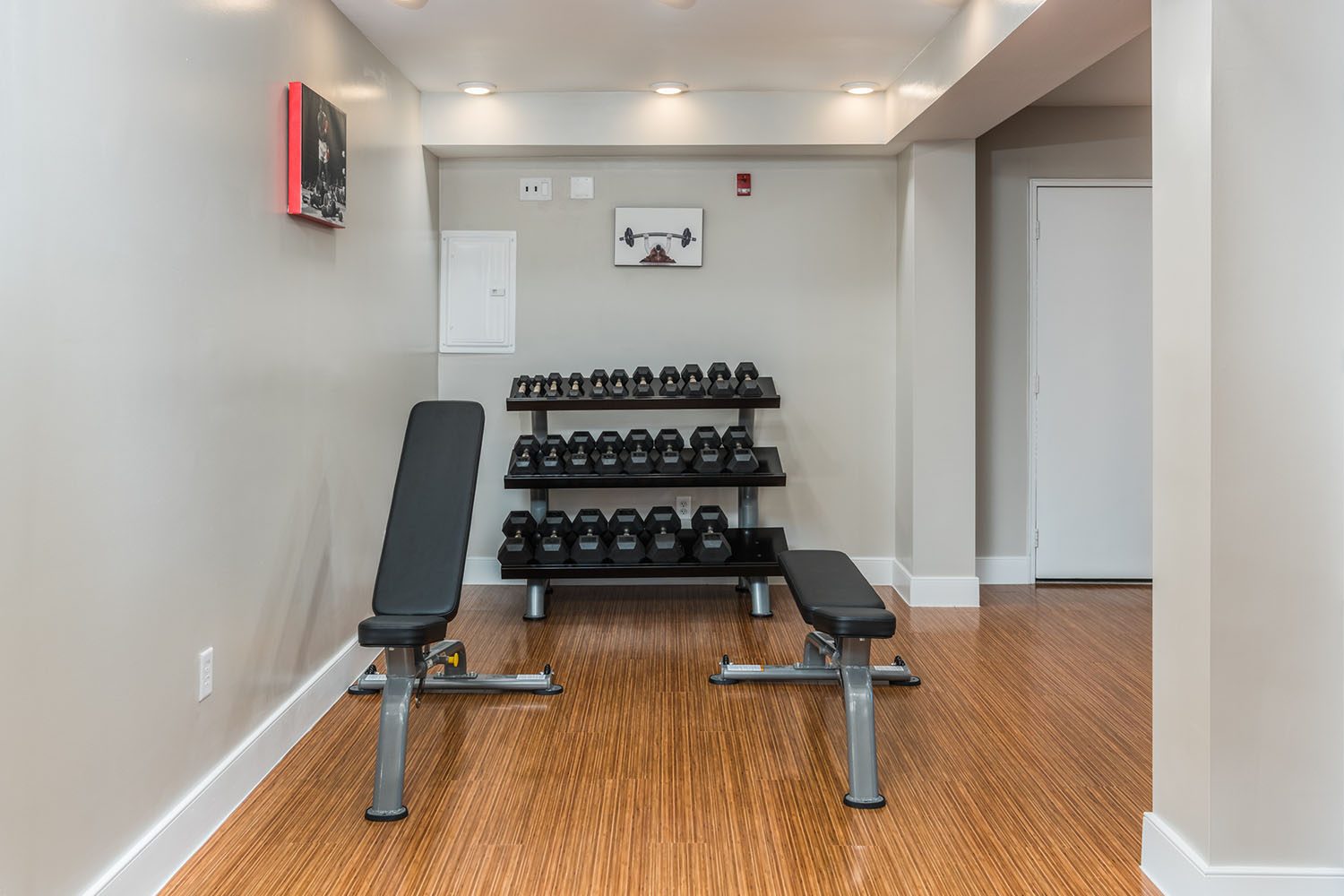 free weights and benches in the fitness center