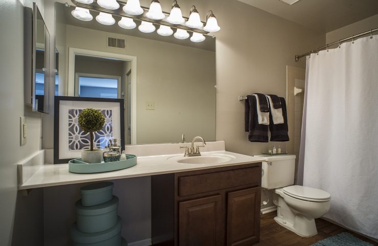 bathroom with large vanity 