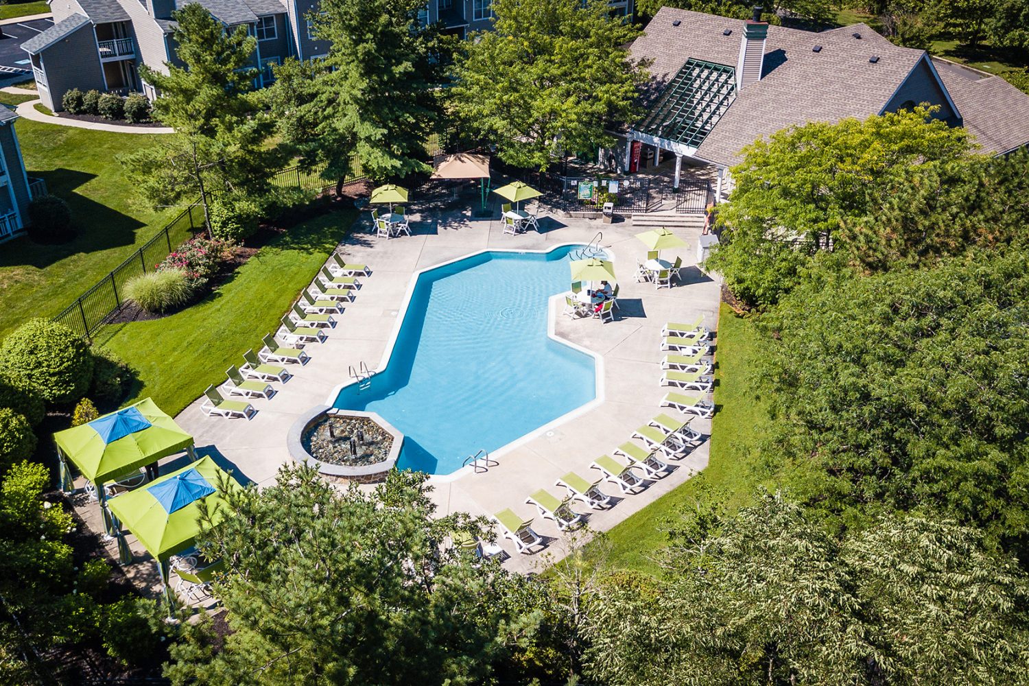aerial view of saltwater pool surrounded by lush trees  