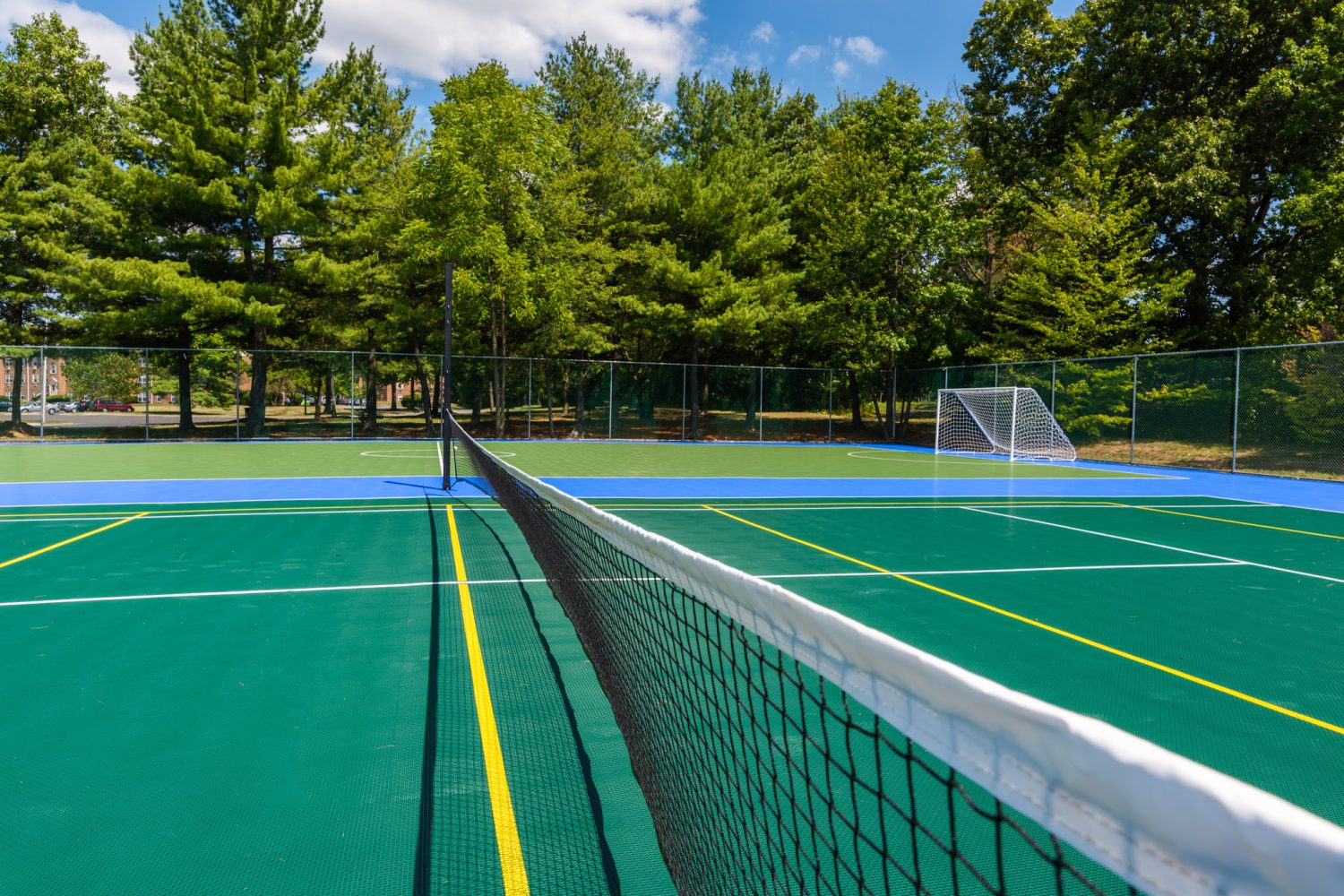 tennis court and badminton court