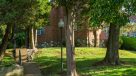 lighted tree lined walkways and steps throughout community 