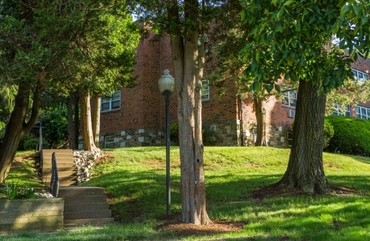 lighted tree lined walkways and steps throughout community 