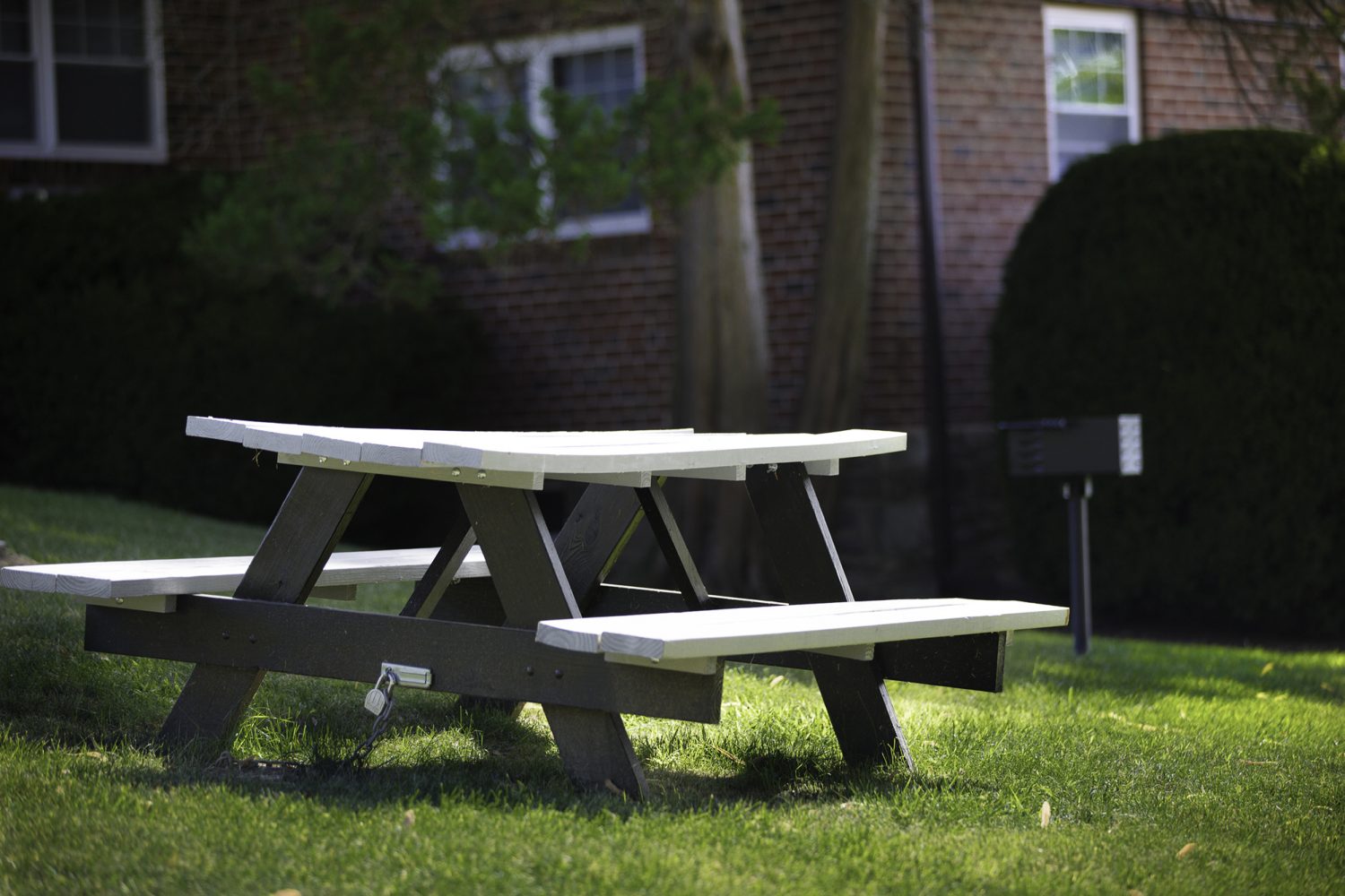 picnic bench in the grassy grilling area 