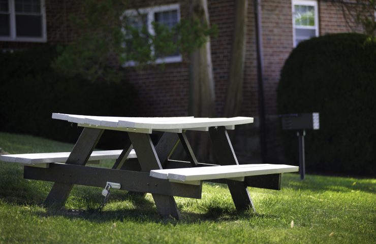picnic bench in the grassy grilling area 