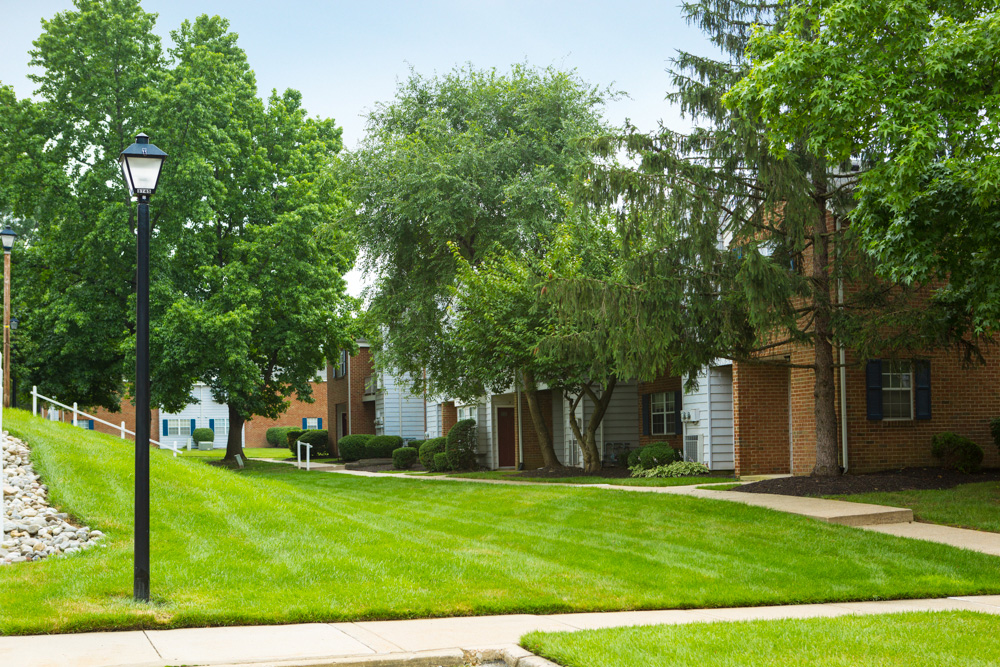 tree lined pathways throughout community 