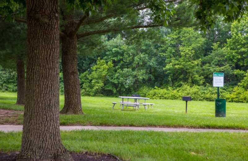 Grill and Picnic Area