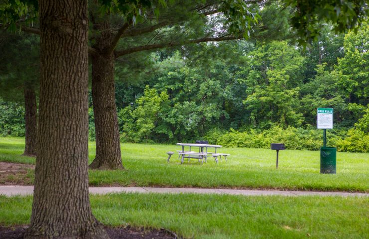 shaded picnic area under large trees 