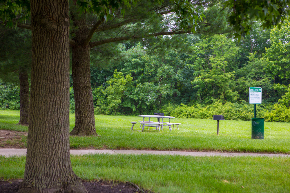 shaded picnic area under large trees 