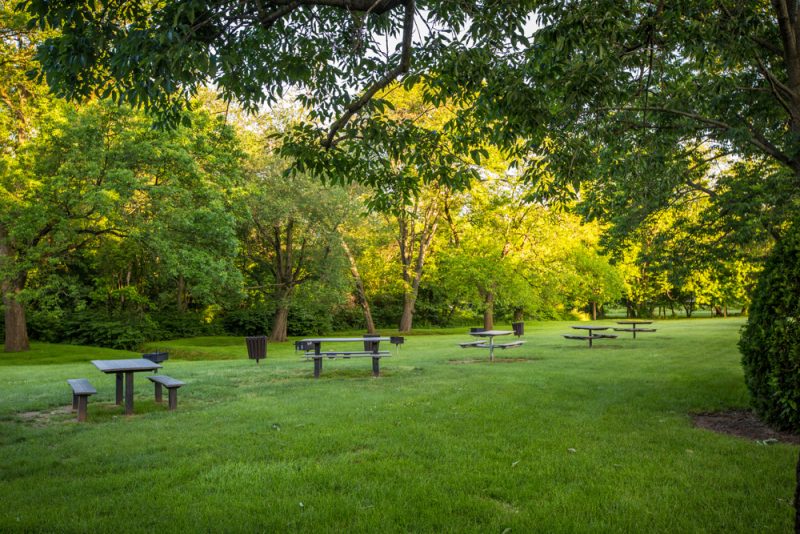 Grill and Picnic area