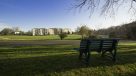scenic views and walking path 
