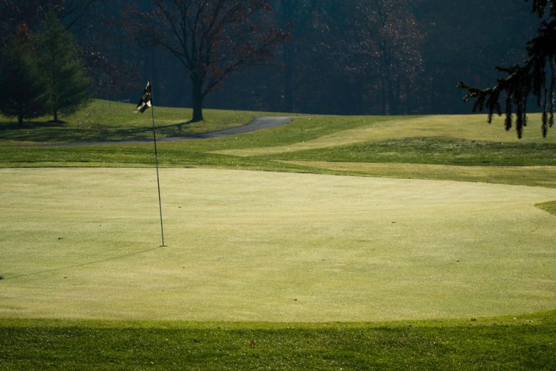 Golf Course or Courtyard Views