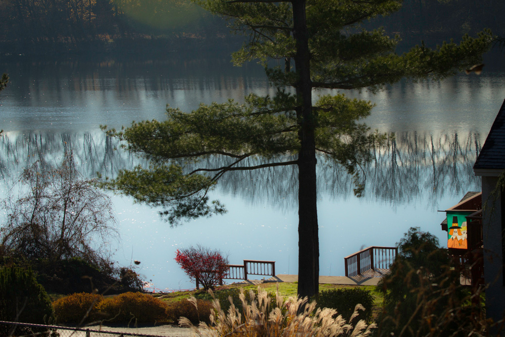 schuylkill river view 