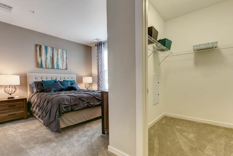 Spacious Closets and Linen Closet