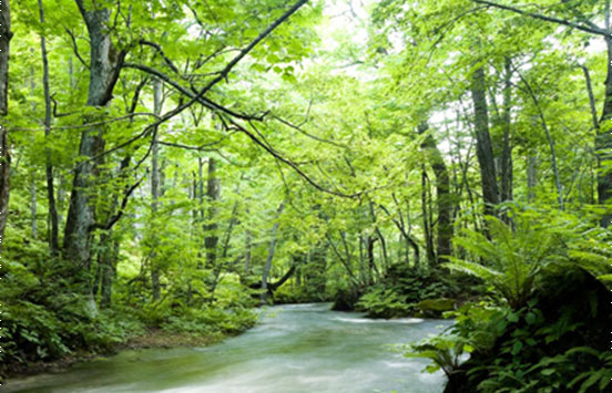 Bucks County, Pennsylvania