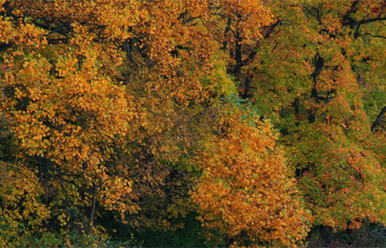 Burlington County, New Jersey