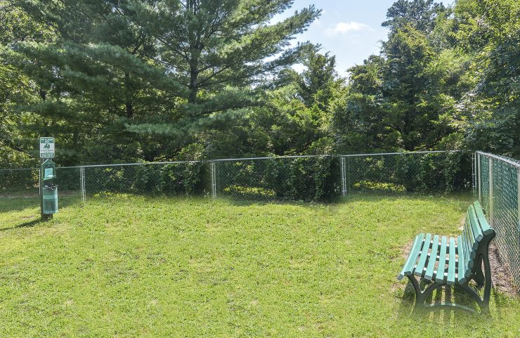 dog park with a bench 