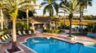 outdoor pool with palm trees surrounding and lounge chairs 