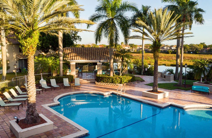 outdoor pool with palm trees surrounding and lounge chairs 