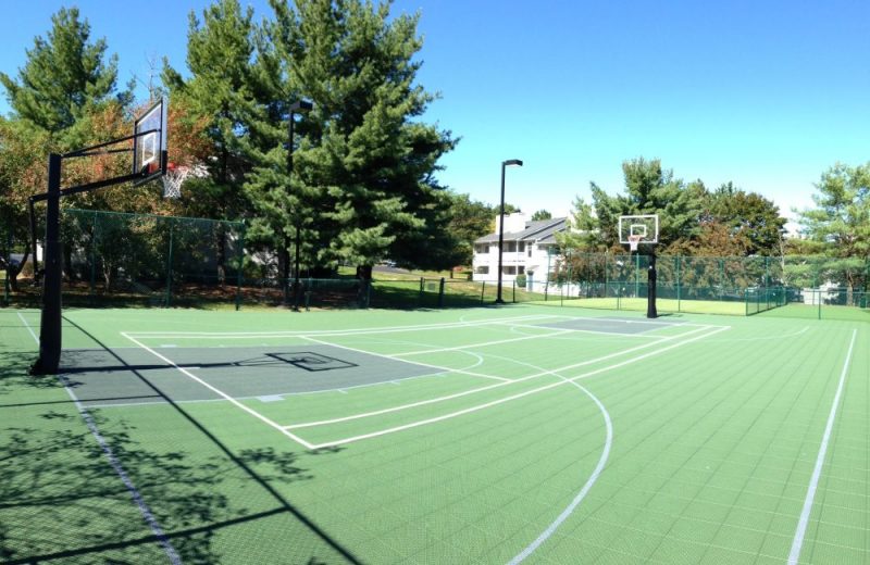 Multi-sport court