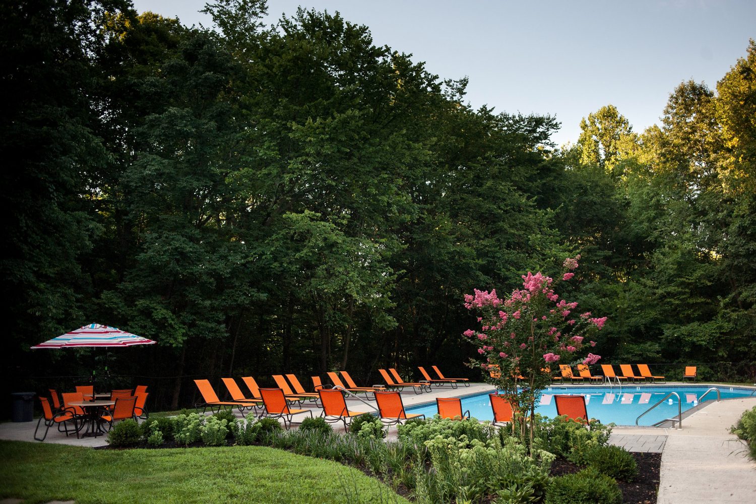 outdoor pool surrounded by mature trees for some shade 