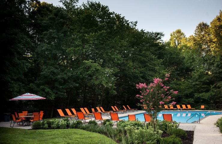 outdoor pool surrounded by mature trees for some shade 