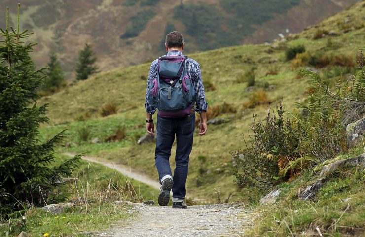 Nearby: Black Rock Sanctuary is a wild-land habitat with multiple loop trails and fishing. Dog friendly. Also nearby is the Schuylkill River trail.